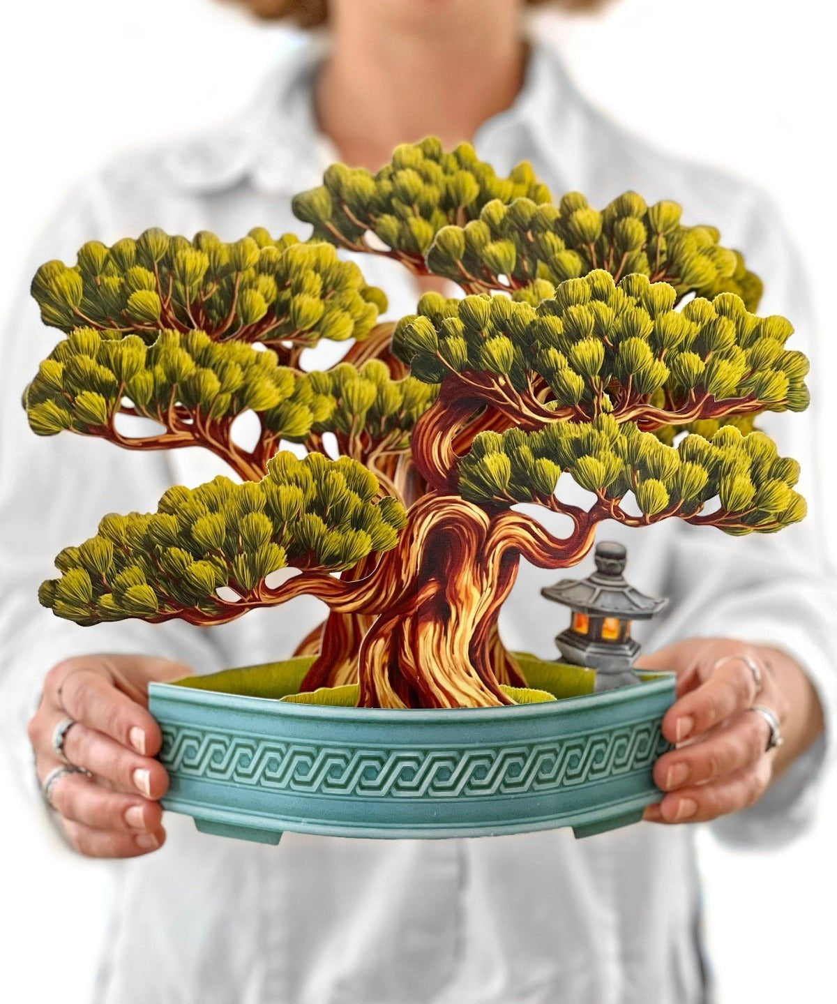 Wisdom Bonsai - FreshCut Paper