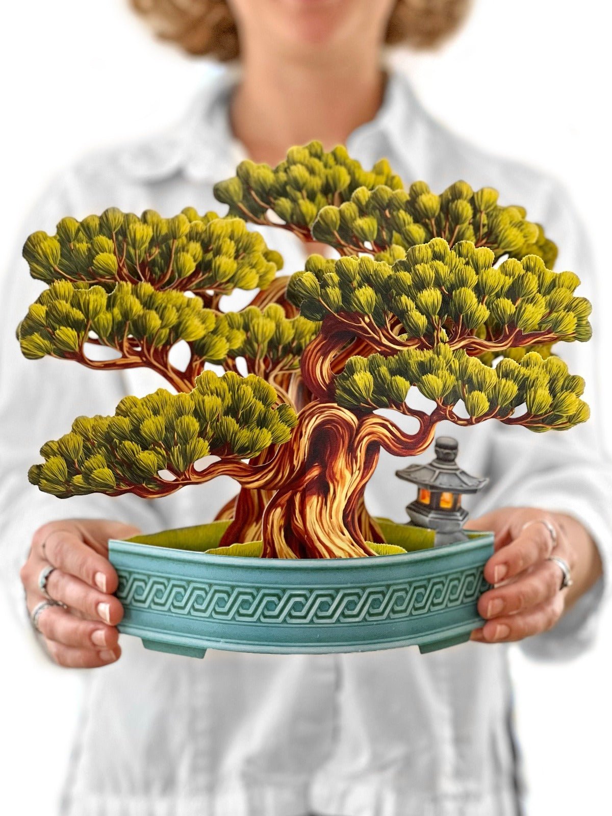 Wisdom Bonsai - FreshCut Paper