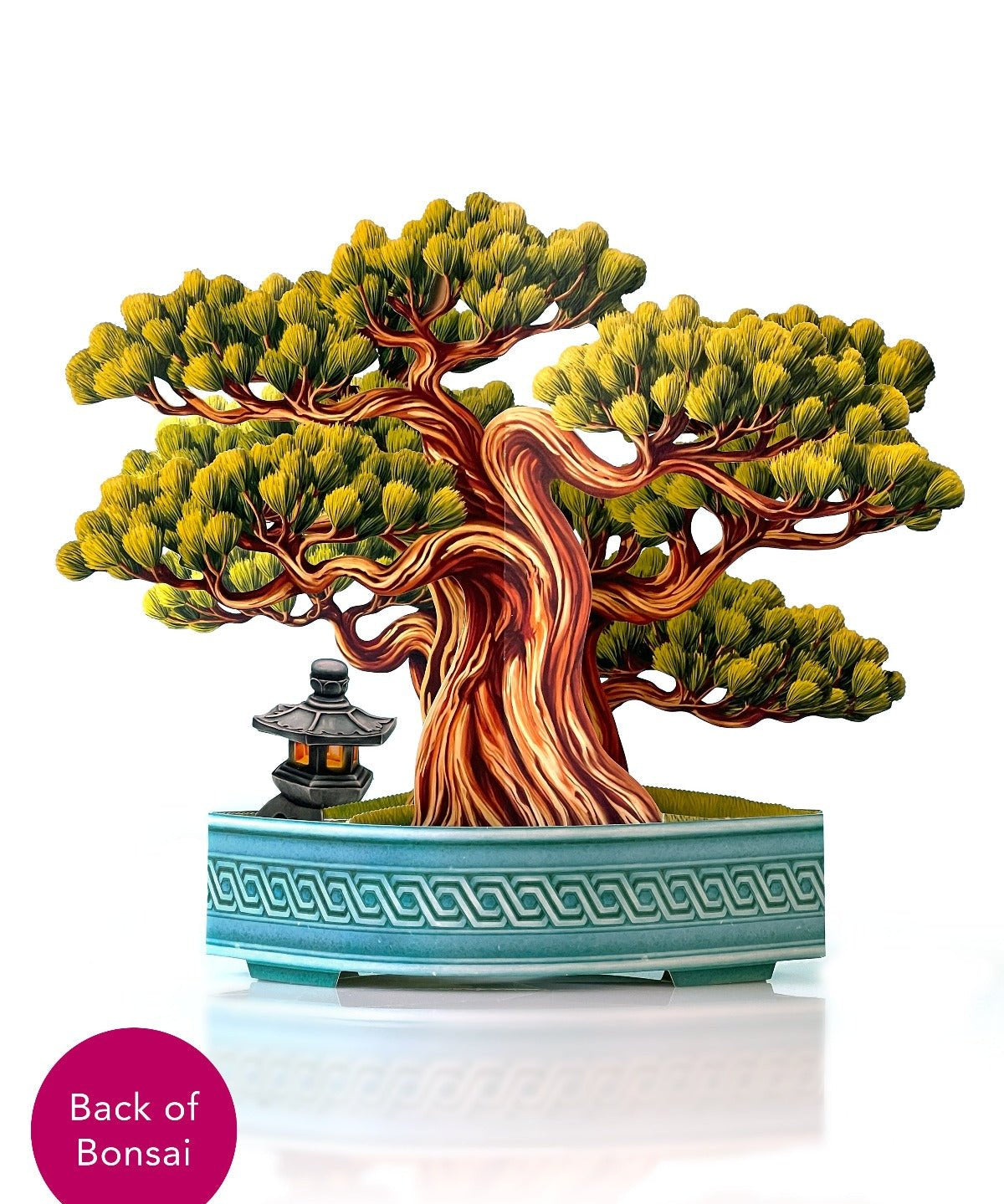 Wisdom Bonsai - FreshCut Paper