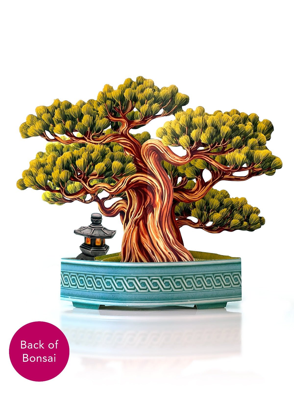 Wisdom Bonsai - FreshCut Paper