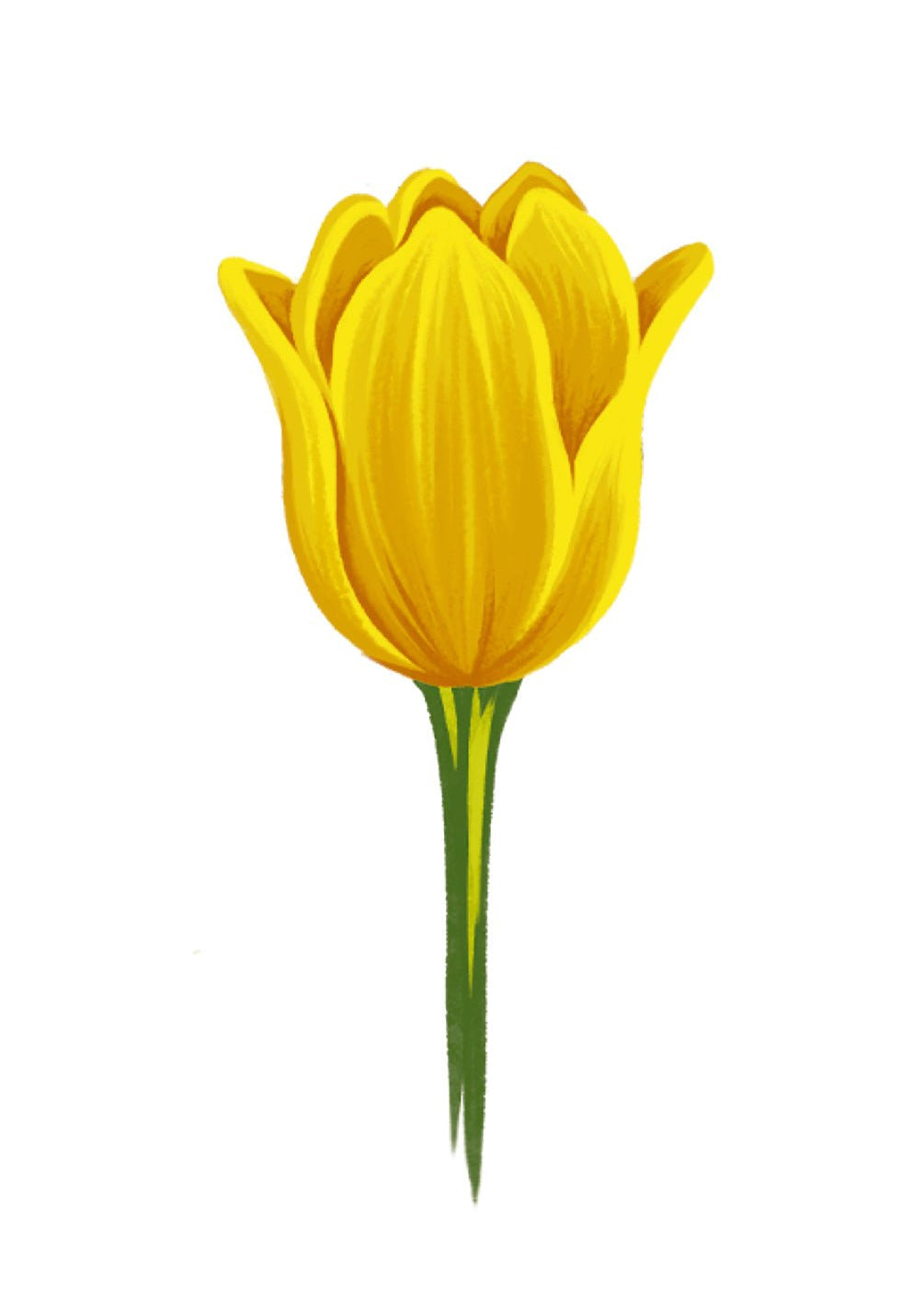 Yellow Tulip Card - FreshCut Paper